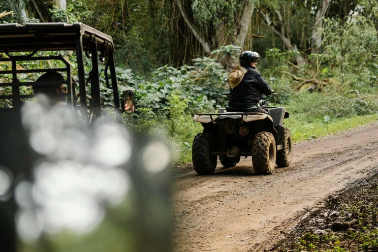 Best Hunting ATV Accessories For Successful Hunts (2023)