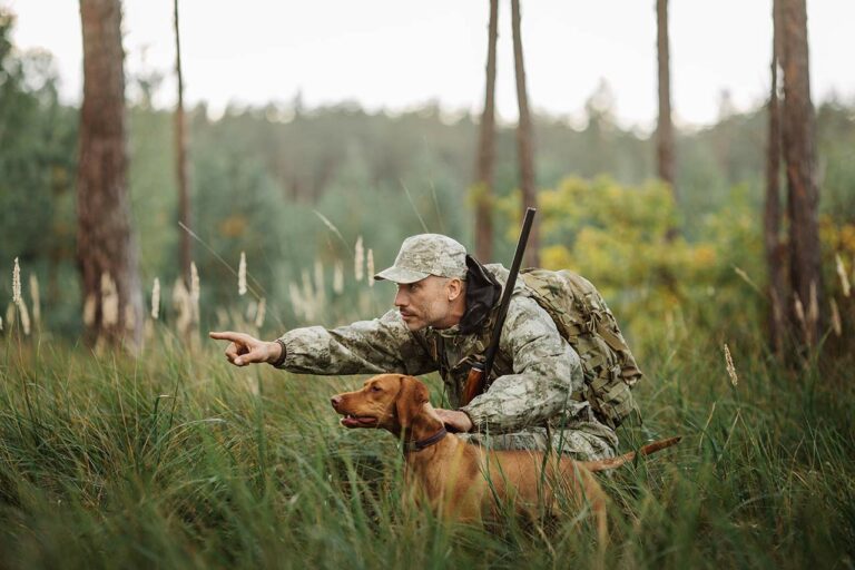 Squirrel Hunting Tips For Beginners (Techniques And Strategies)