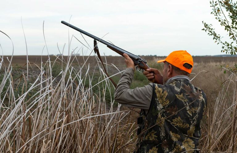 Dove Hunting Tips For Beginners (Strategies For Success)