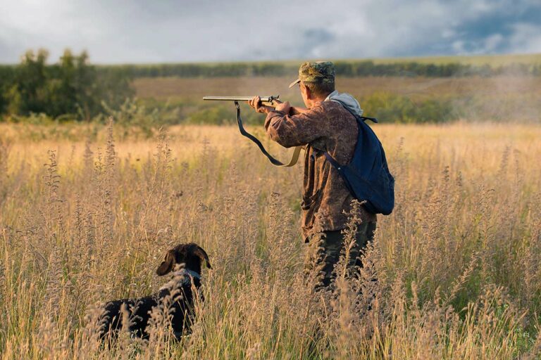 Duck Hunting On A Budget: Affordable Strategies For Every Hunter