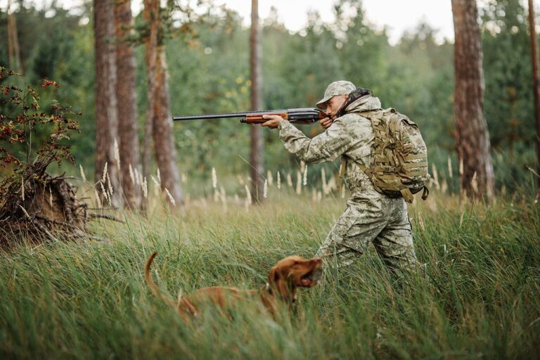 Antelope Hunting Tips For Beginners